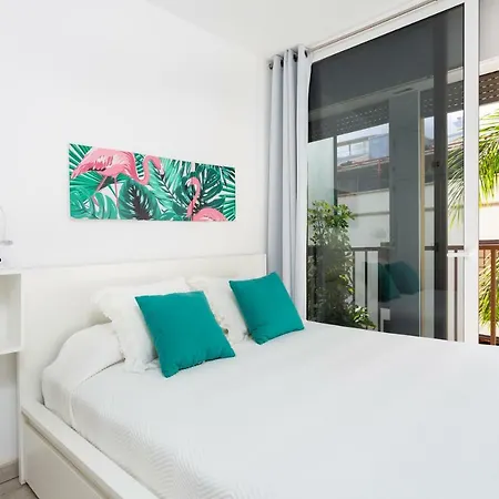 Monkey House Apartment